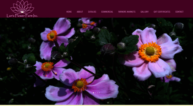 lansflowerfarm.com