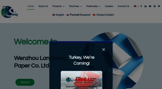 lanshengco.com
