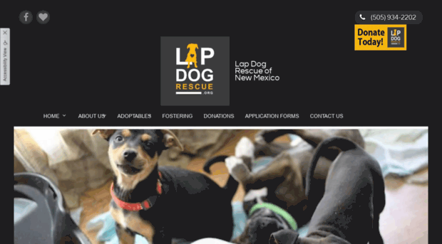 lapdogrescue.org