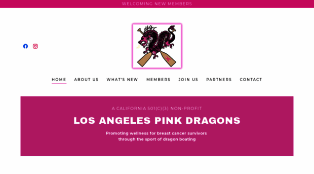 lapinkdragons.org