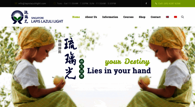 lapislazulilight.com