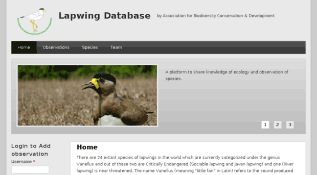 lapwings.org