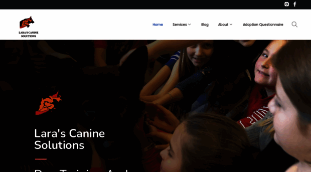 larascaninesolutions.com