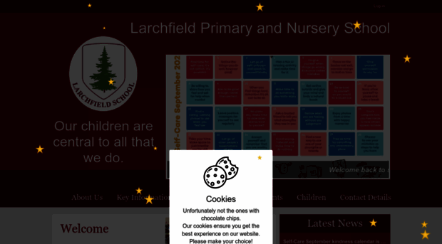 larchfieldschool.co.uk