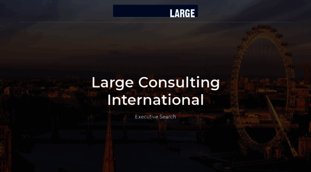 large-consulting.com