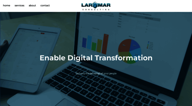 larimarconsulting.com