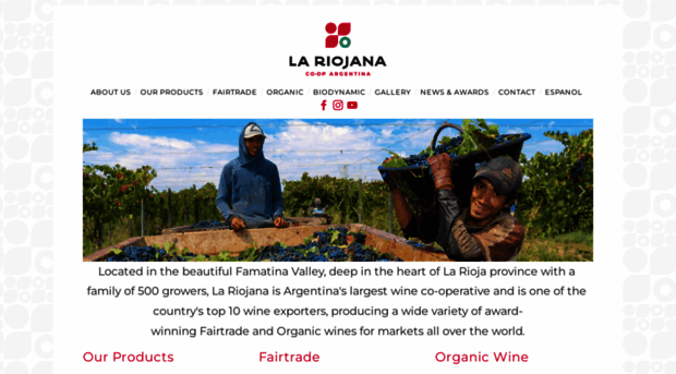 lariojanawines.com