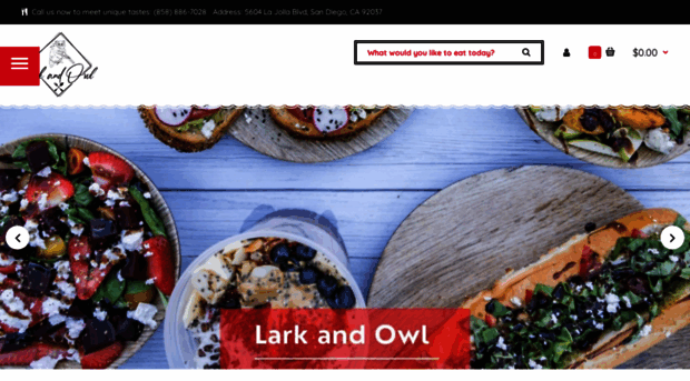 larkandowlsd.com