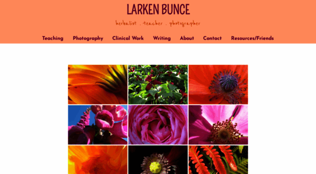 larkenbunce.com