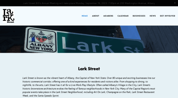 larkstreetbid.org