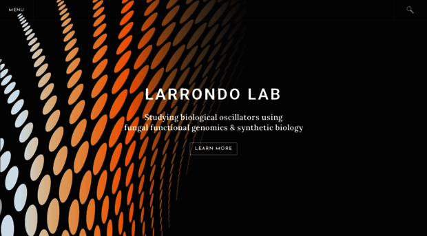 larrondolab.com