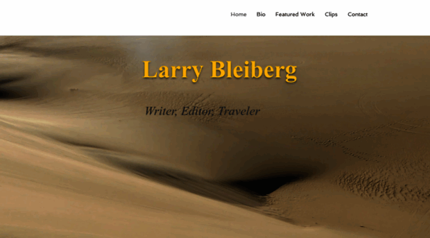 larrybleiberg.com