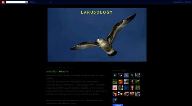 larusology.blogspot.com