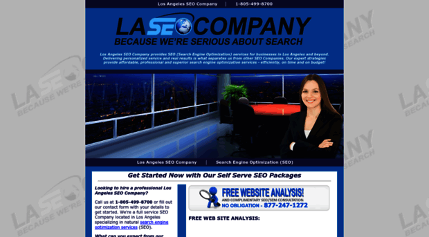 laseocompany.com