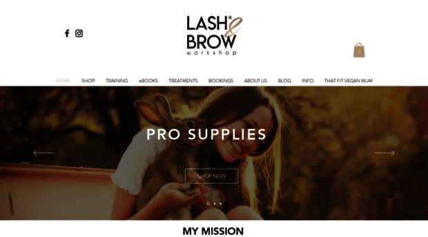 lashandbrowworkshop.co.uk