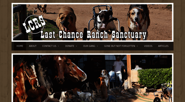 lastchanceranchsanctuary.org