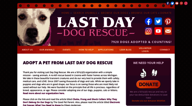 lastdaydogrescue.org