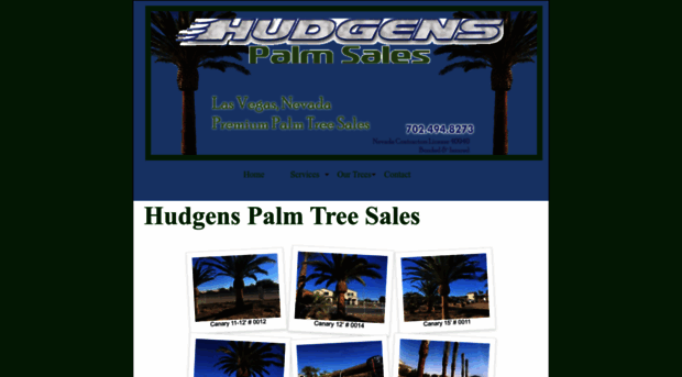 lasvegaspalmtrees.com