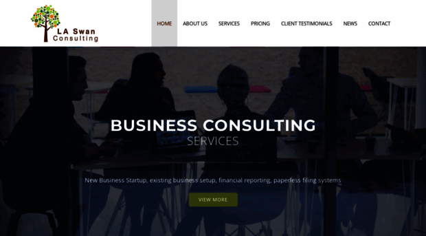 laswanconsulting.com