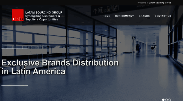 latamsourcinggroup.com