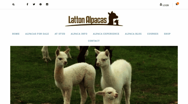 lattonalpacas.co.uk
