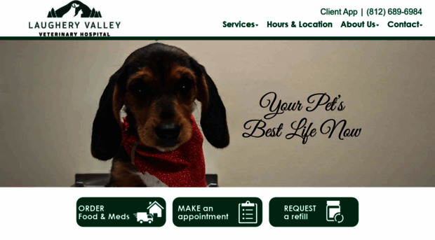 laugheryvalleyvet.com