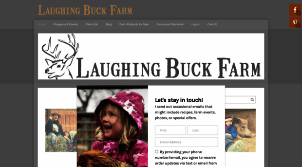 laughingbuckfarm.com