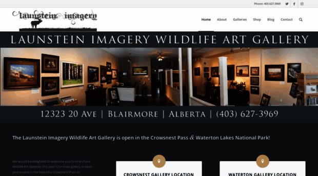 launsteinimagery.com