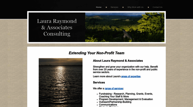 lauraraymondconsulting.com