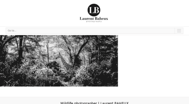 laurentbaheux.versus-web.fr