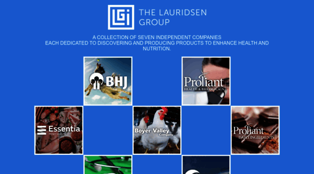 lauridsengroupinc.com