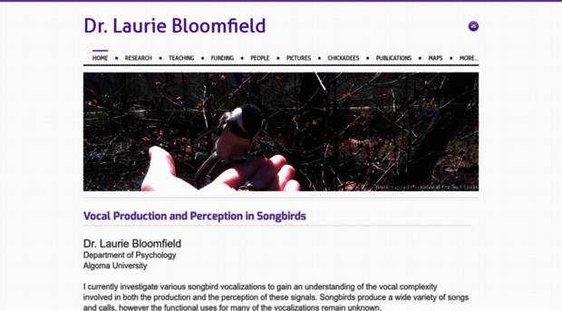 lauriebloomfield.weebly.com