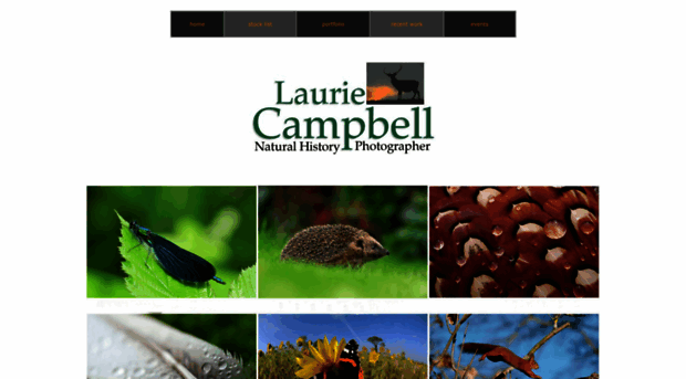 lauriecampbell.com