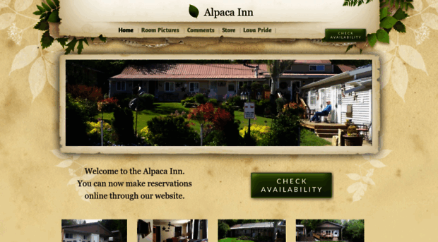 lavaalpacainn.com