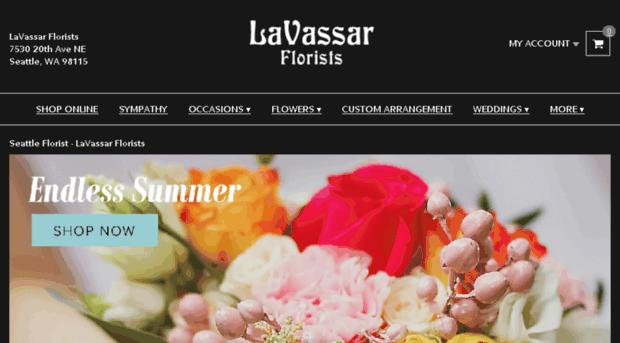 lavassar.com