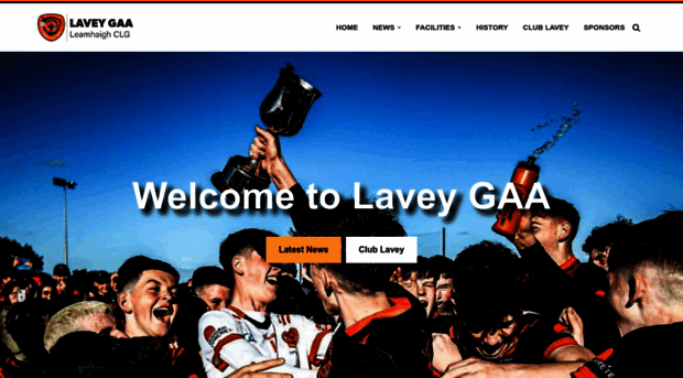 laveygaa.ie