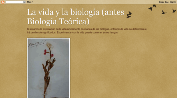 lavidaylabiologia.blogspot.com