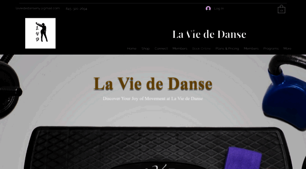 laviededanse.com