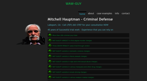 law-guy.com