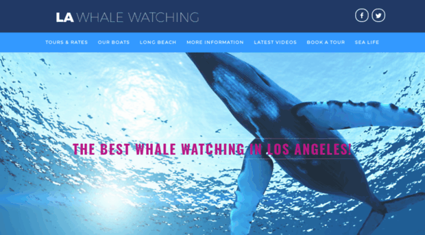 lawhalewatching.com