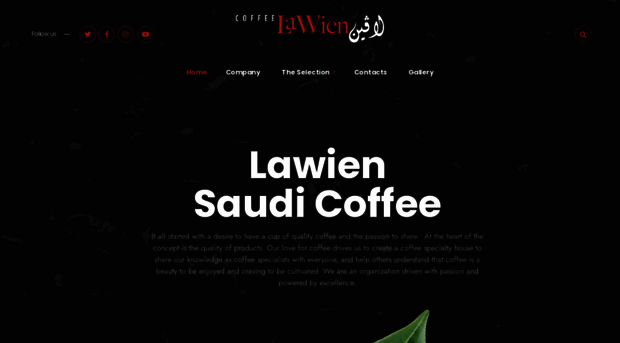 lawien.com