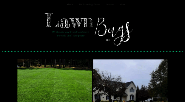 lawnbugs.com