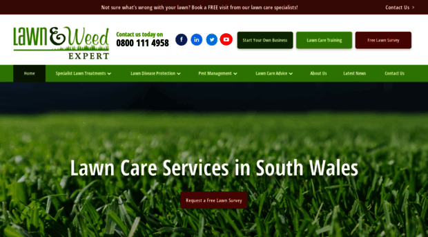 lawnweedexpert.co.uk