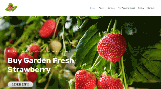 laxmistrawberryfarm.com