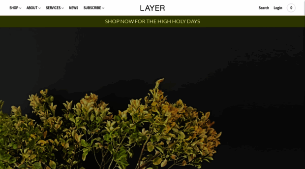 layerny.com