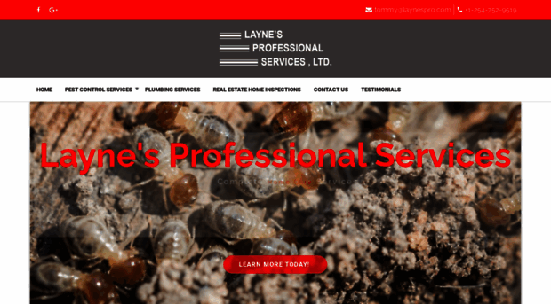 laynesprofessionalservices.com