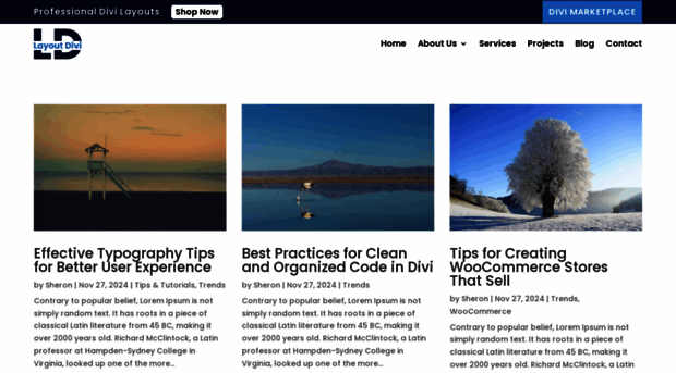layouts.layoutdivi.com