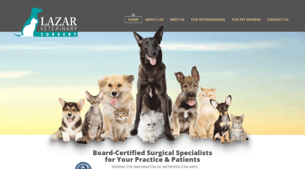 lazarveterinarysurgery.com