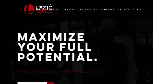 lazicmartialarts.com