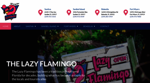 lazyflamingo.com